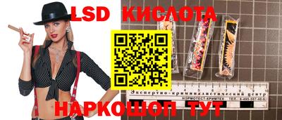 стаф Новодвинск